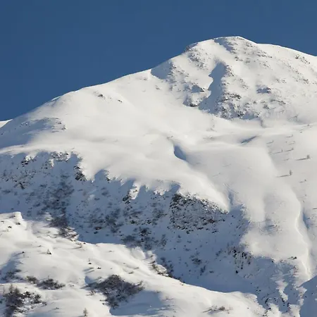 Horn Davos