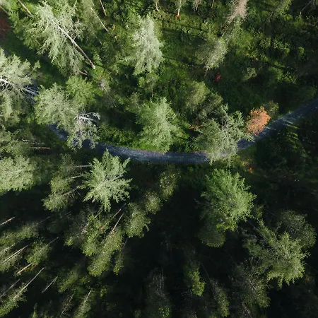Horn Ferienhaus Davos