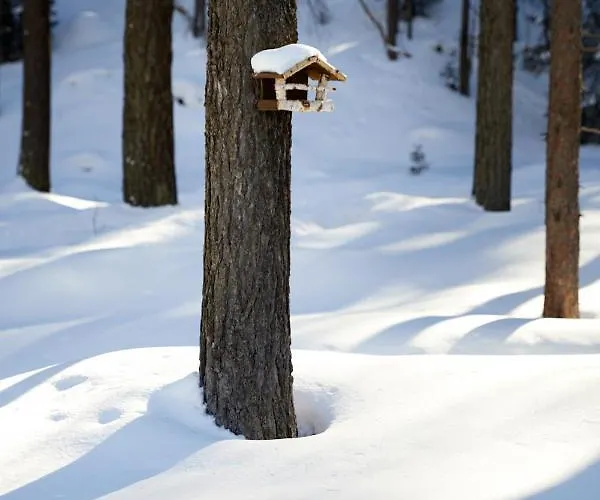 Horn بيت للعطل