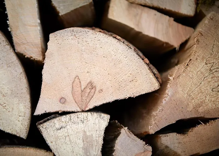 Horn بيت للعطل دافوس