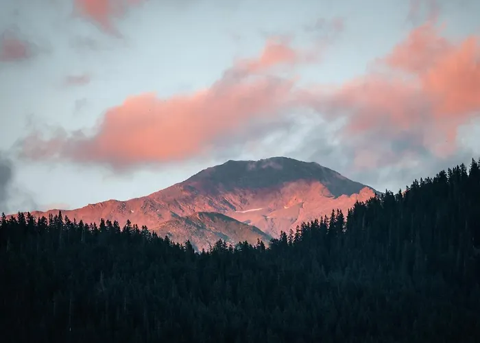 Horn بيت للعطل