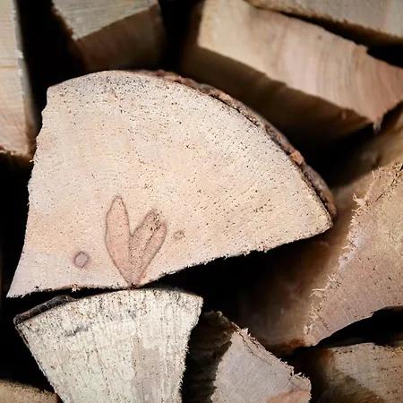 Horn 別荘 ダヴォス・プラッツ