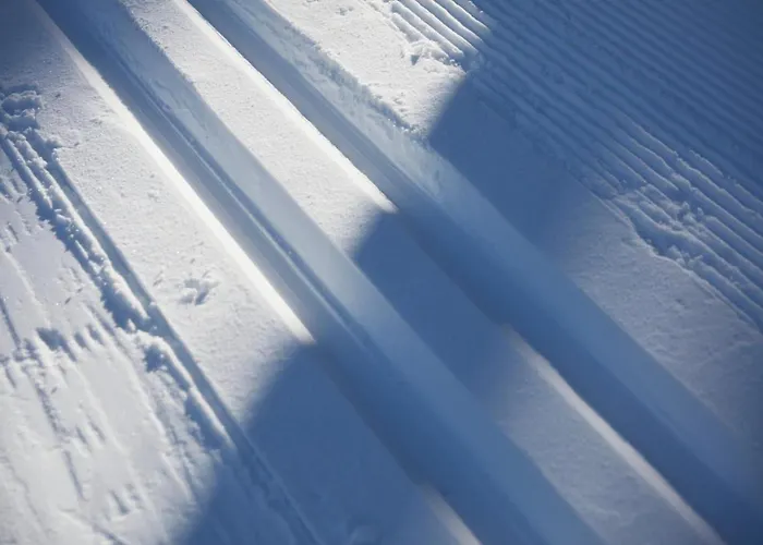 Сasa de vacaciones Horn Davos