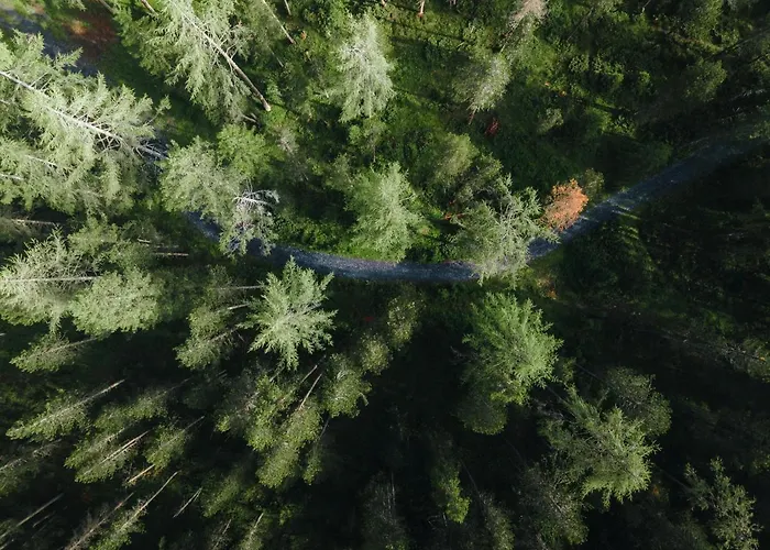 Horn Сasa de vacaciones Davos